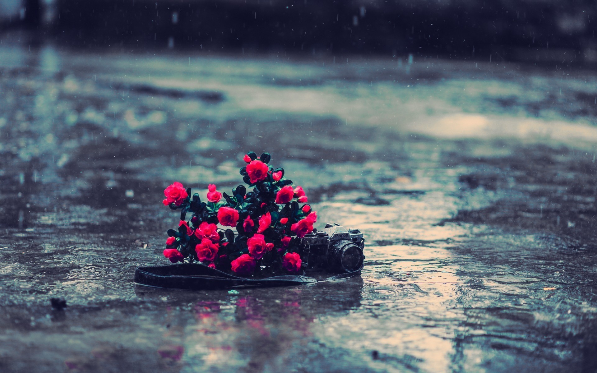 185-1859158_beautiful-rain-hd-desktop-wallpapers-data-src-download-9cf8c1aa